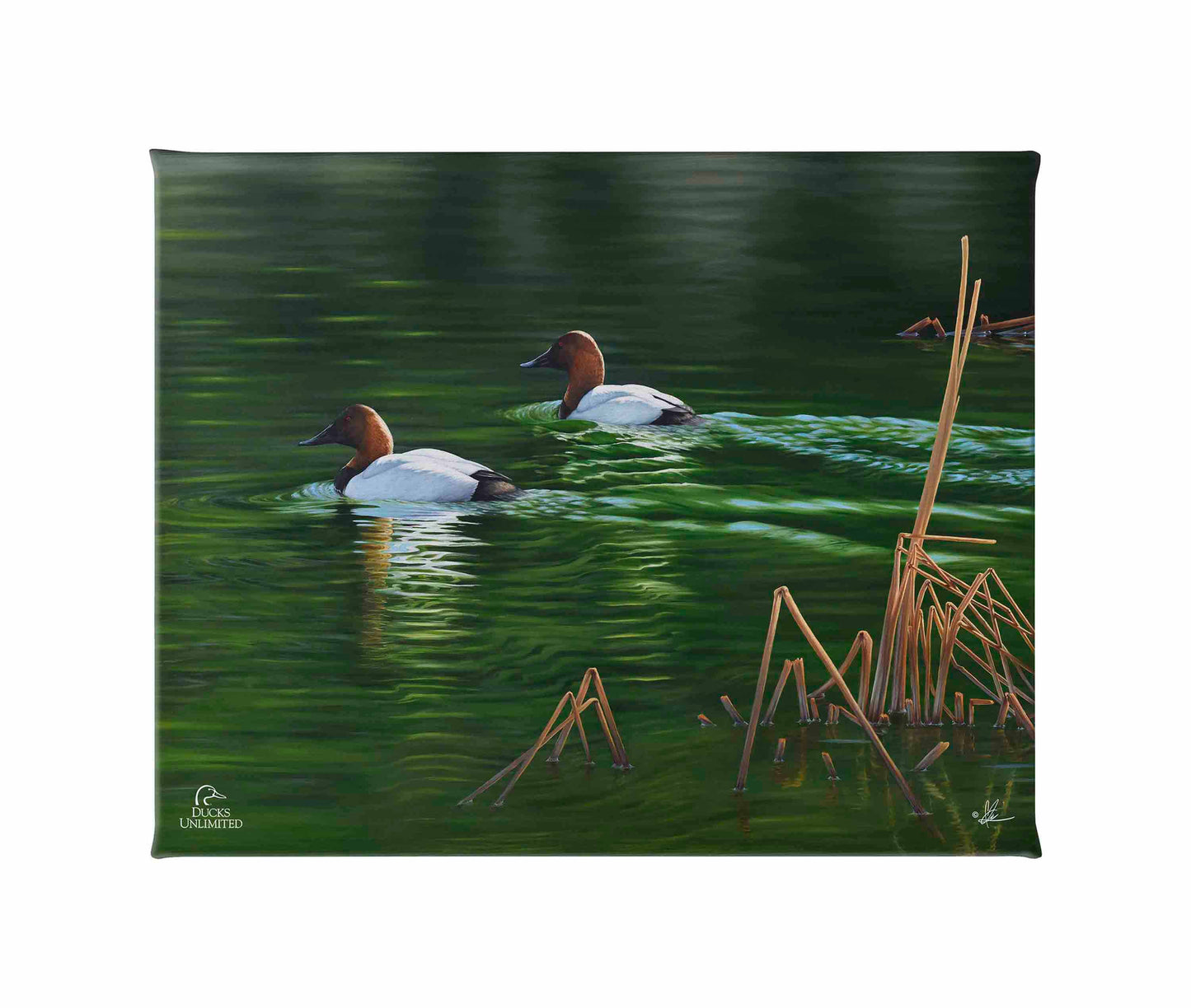 A Beautiful Day Gallery Wrapped Canvas - Official Ducks Unlimited Art