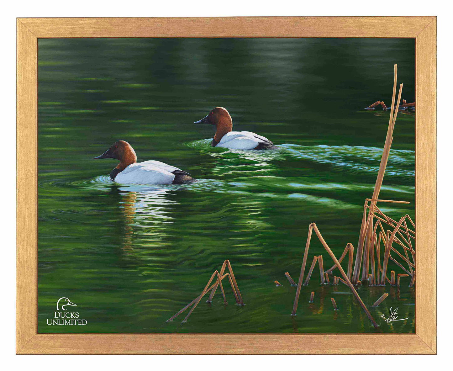 A Beautiful Day Art Prints - Official Ducks Unlimited Art