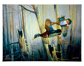 Aerobatics Gallery Wrapped Canvas - Official Ducks Unlimited Art