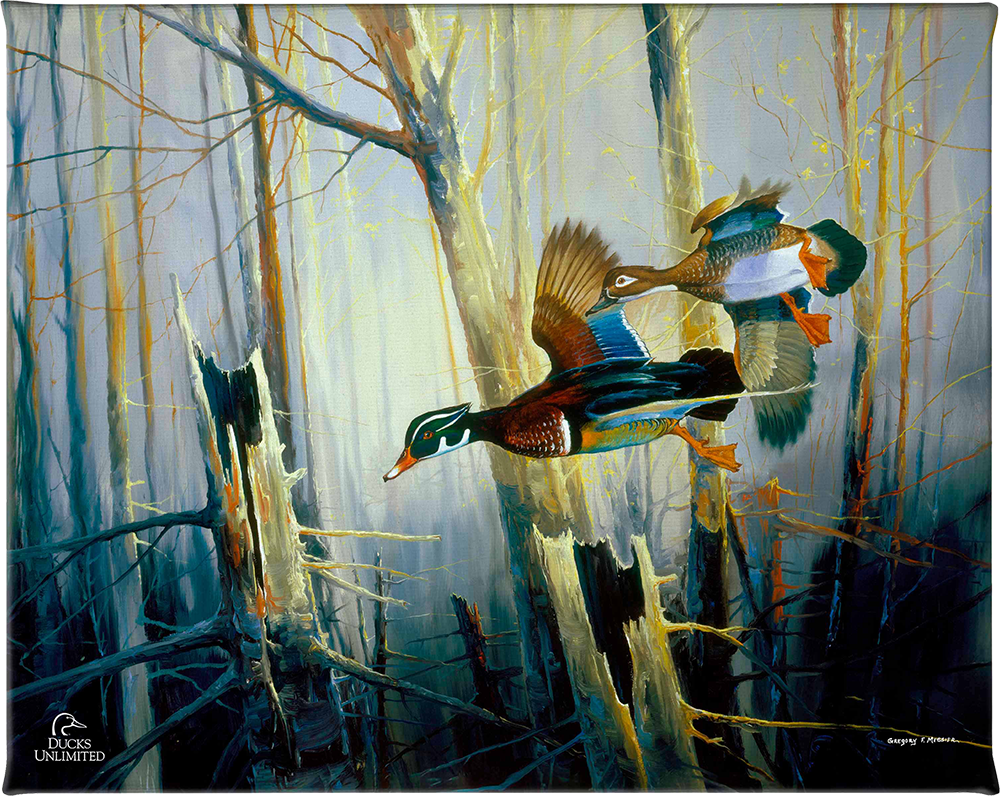 Aerobatics Gallery Wrapped Canvas - Official Ducks Unlimited Art