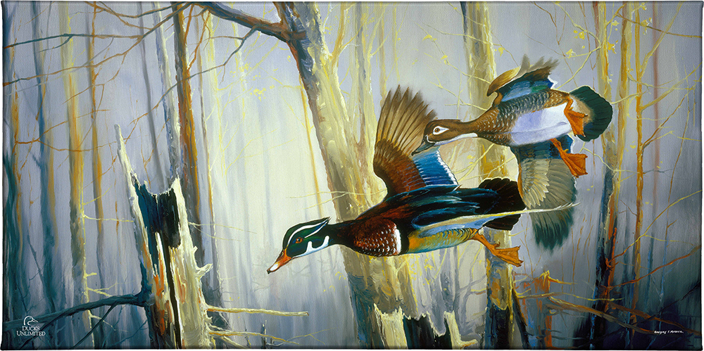 Aerobatics Gallery Wrapped Canvas - Official Ducks Unlimited Art