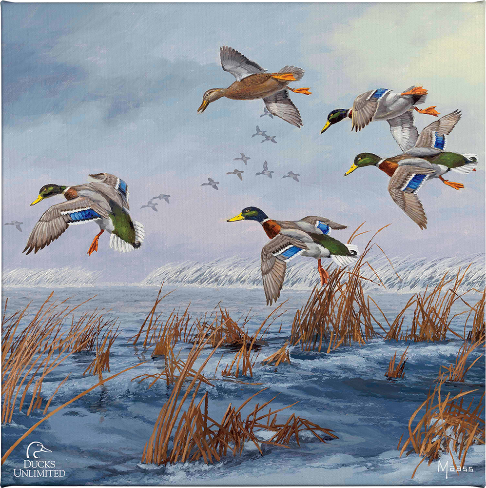 After a Passing Squall Gallery Wrapped Canvas - Official Ducks Unlimited