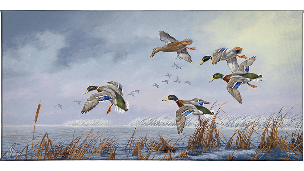 After a Passing Squall Gallery Wrapped Canvas - Official Ducks Unlimited