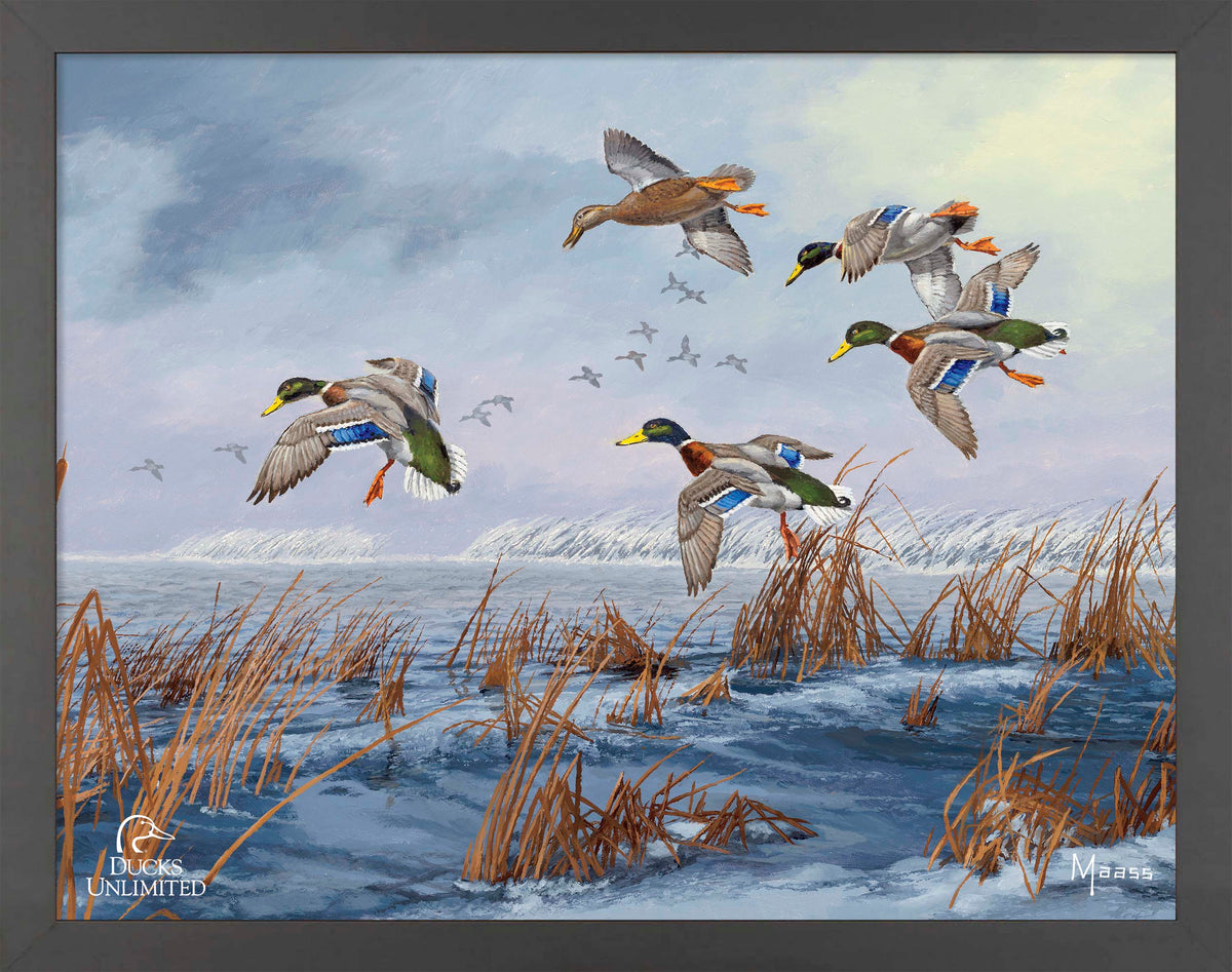 After a Passing Squall Art Prints - Official Ducks Unlimited Art