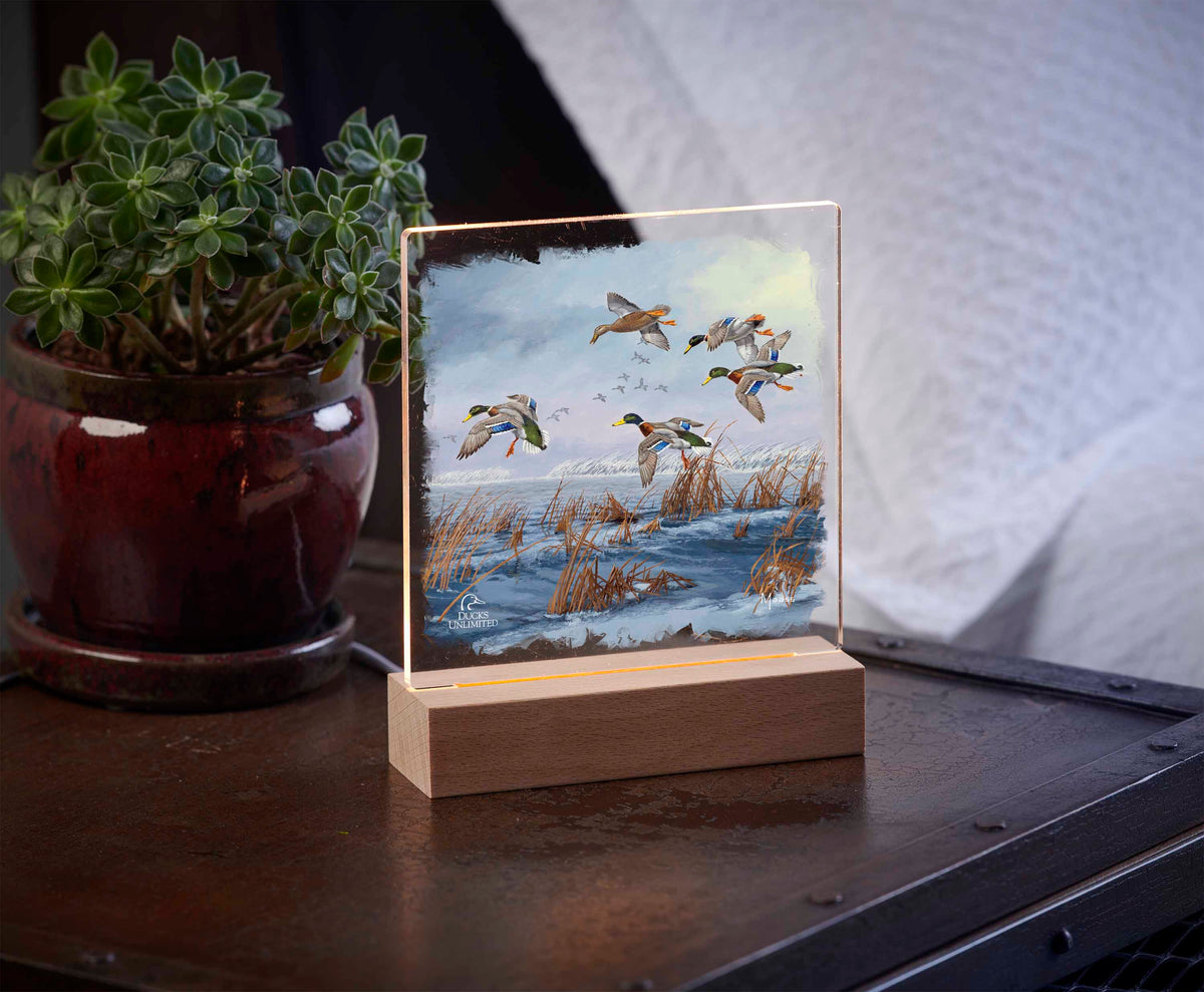 After a Passing Squall 6.37" x 6" Acrylic Night Light - Official Ducks Unlimited Art