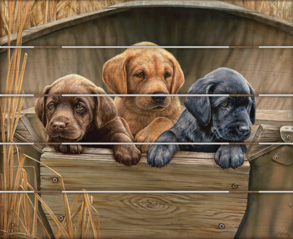 All Hands on Deck 18" x 22" Pallet Wall Art - Official Ducks Unlimited Art