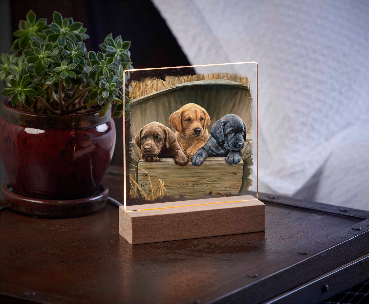 All Hands on Deck 6.37" x 6" Acrylic Nightlight - Official Ducks Unlimited Art
