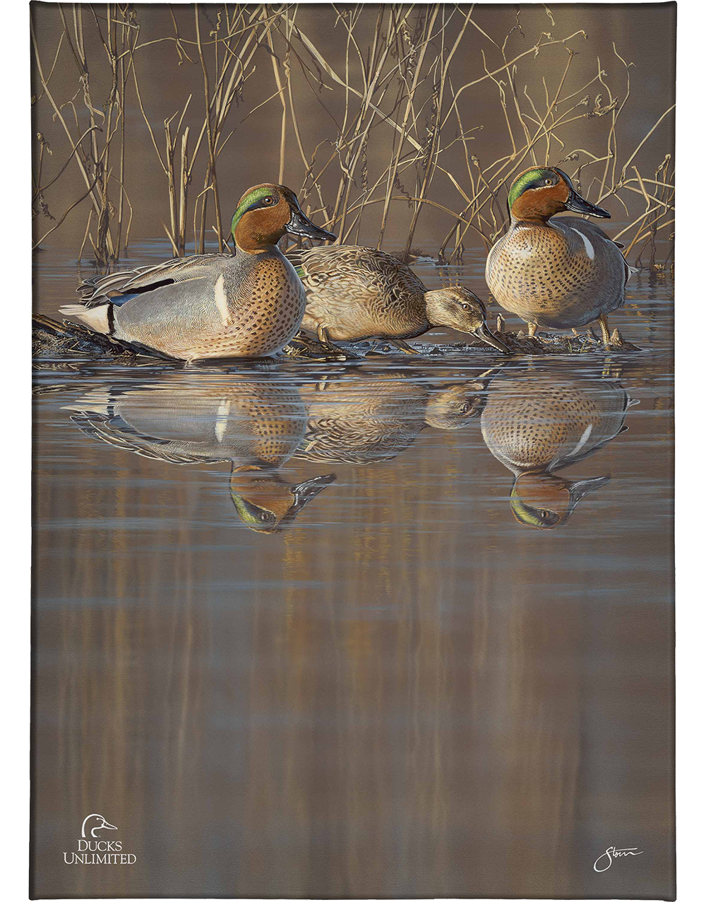 Amber Waters Gallery Wrapped Canvas - Official Ducks Unlimited Art