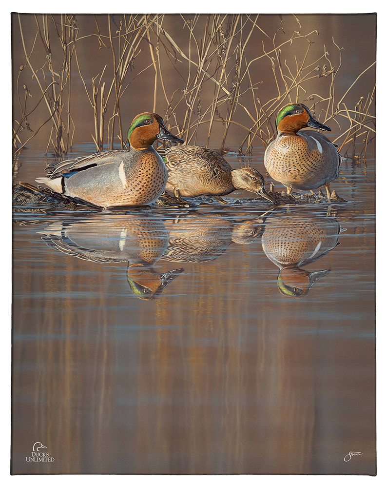 Amber Waters Gallery Wrapped Canvas - Official Ducks Unlimited Art