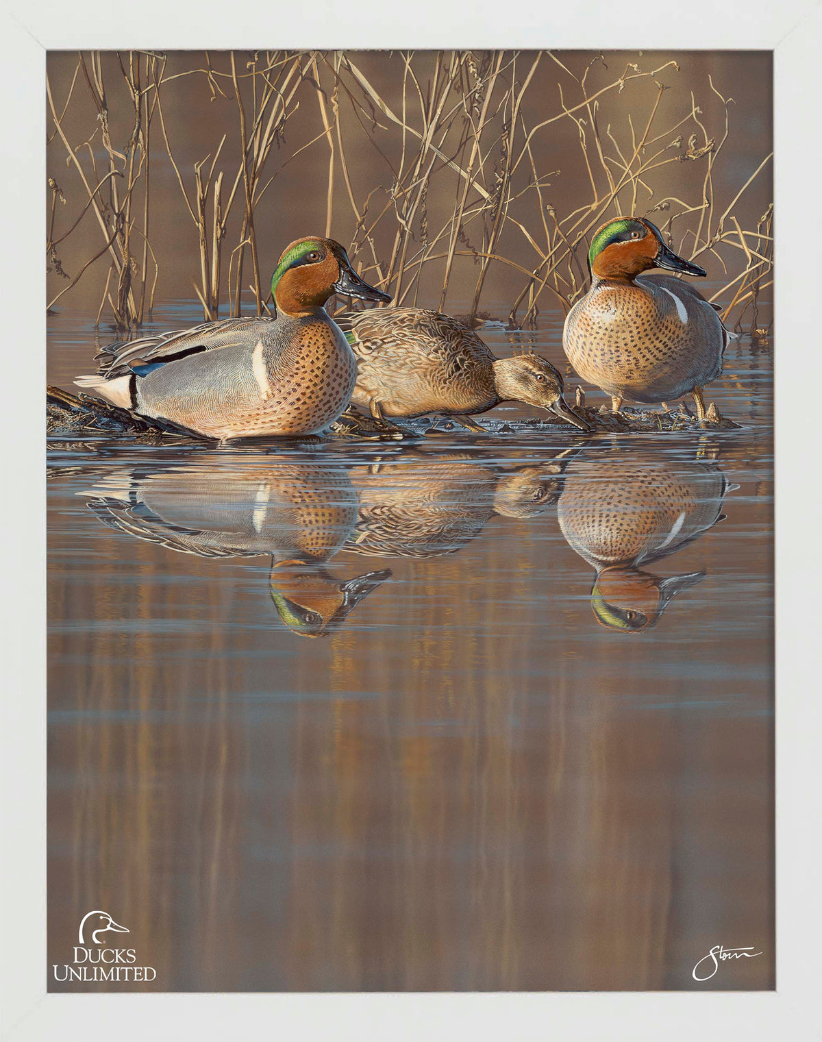Amber Waters Art Prints - Official Ducks Unlimited Art