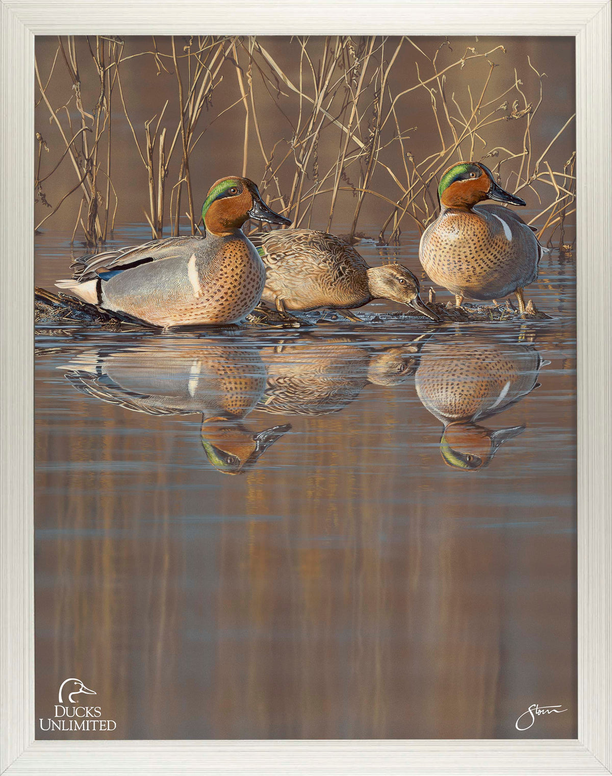 Amber Waters Art Prints - Official Ducks Unlimited Art