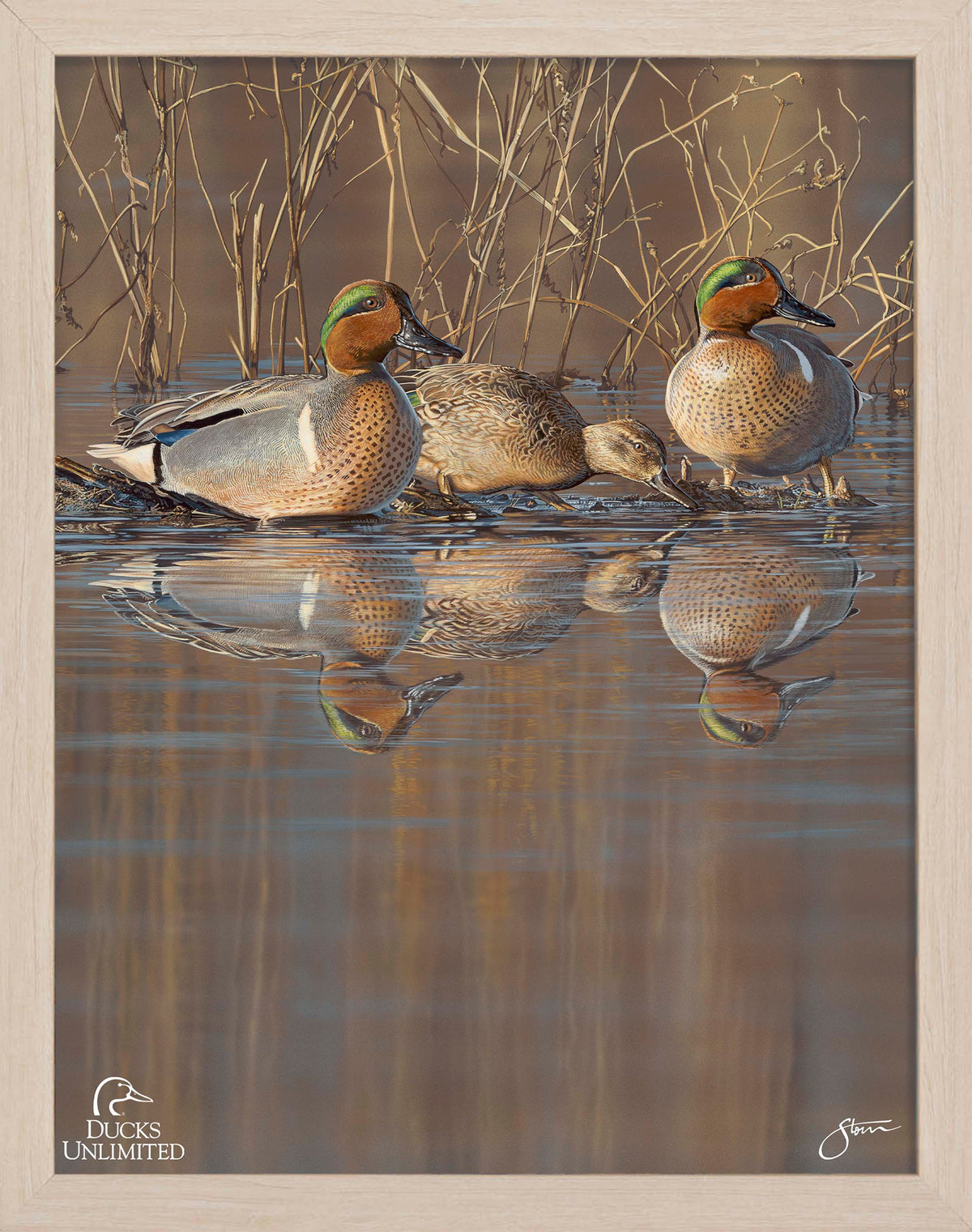Amber Waters Art Prints - Official Ducks Unlimited Art