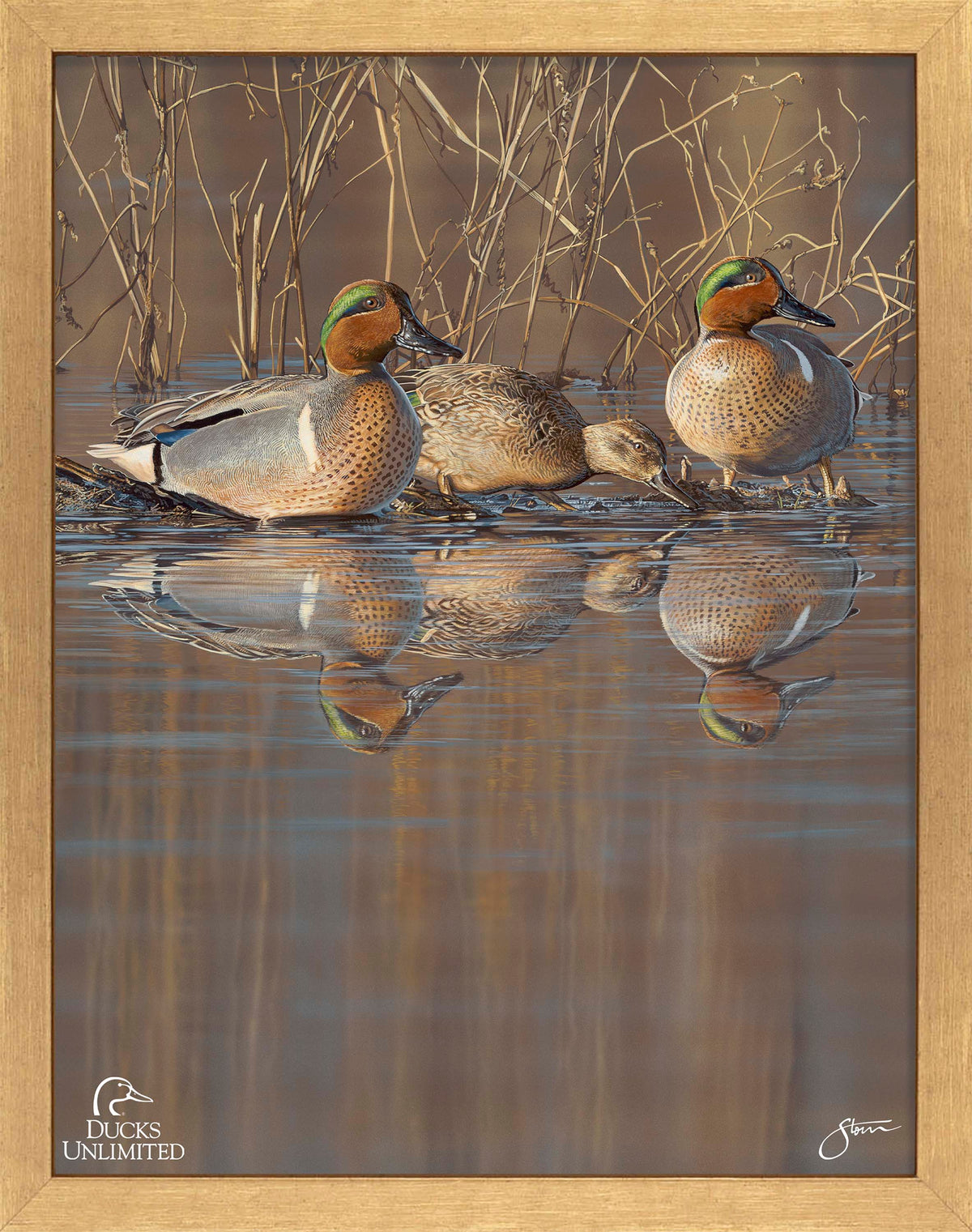 Amber Waters Art Prints - Official Ducks Unlimited Art