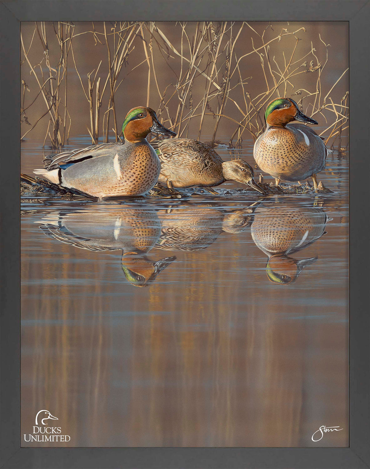 Amber Waters Art Prints - Official Ducks Unlimited Art