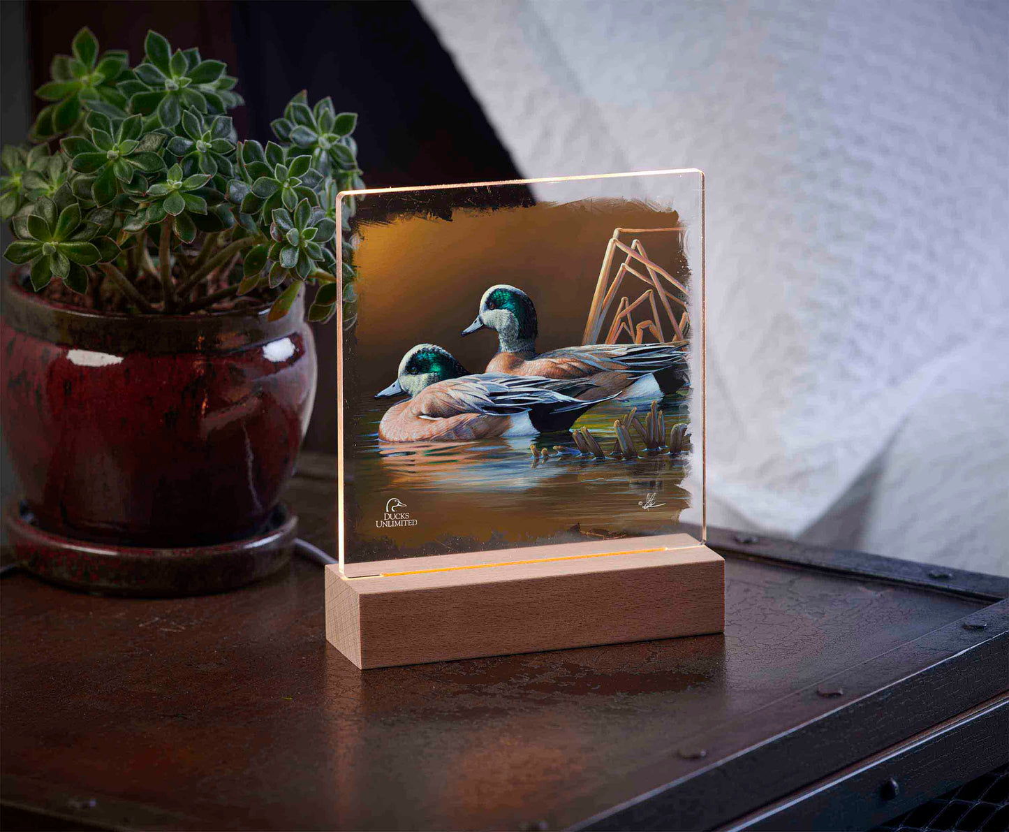 American Widgeon 6.37" x 6" Acrylic Wall Art - Official Ducks Unlimited Art