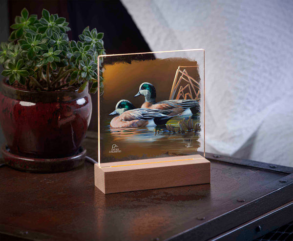 American Widgeon 6.37" x 6" Acrylic Wall Art - Official Ducks Unlimited Art