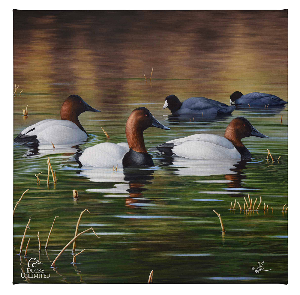 Among Kings and Paupers Gallery Wrapped Canvas - Official Ducks Unlimited Art