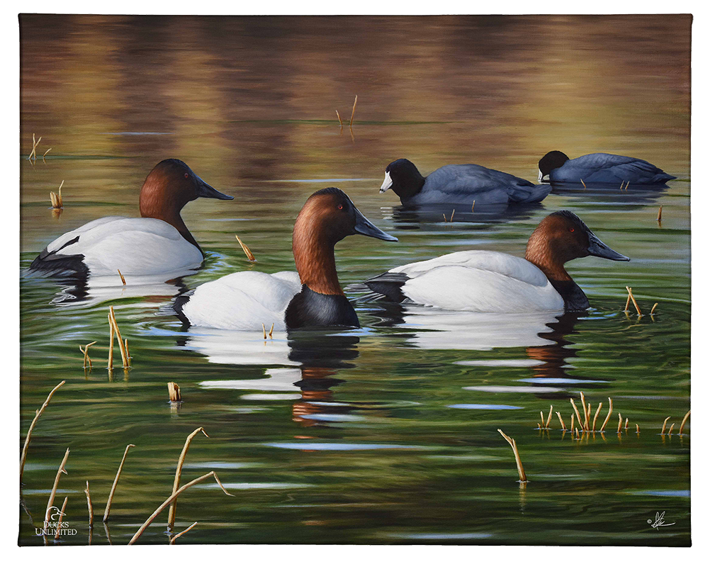Among Kings and Paupers Gallery Wrapped Canvas - Official Ducks Unlimited Art