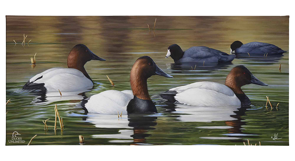 Among Kings and Paupers Gallery Wrapped Canvas - Official Ducks Unlimited Art