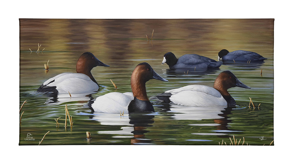 Among Kings and Paupers Gallery Wrapped Canvas - Official Ducks Unlimited Art