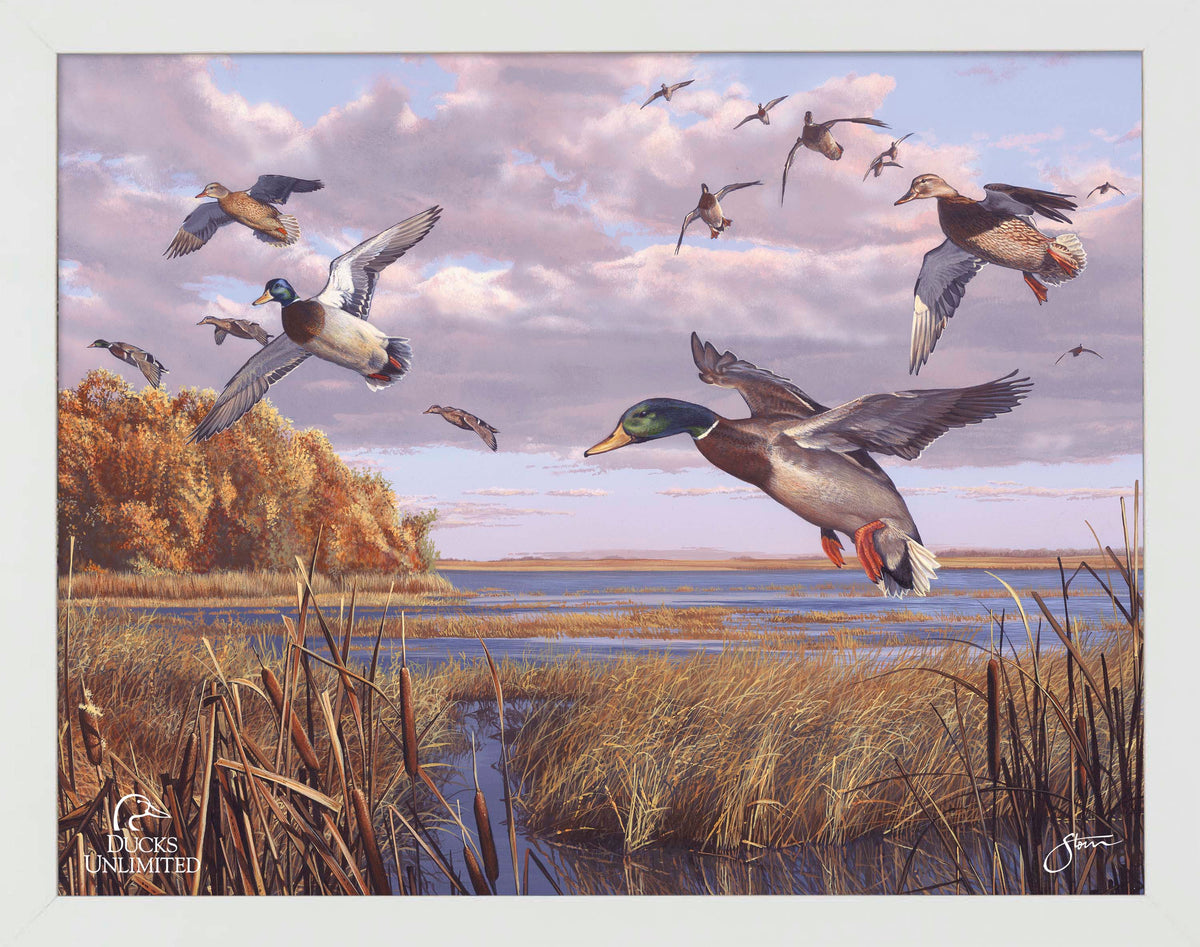 Autumn Rendezvous Art Prints - Official Ducks Unlimited Art