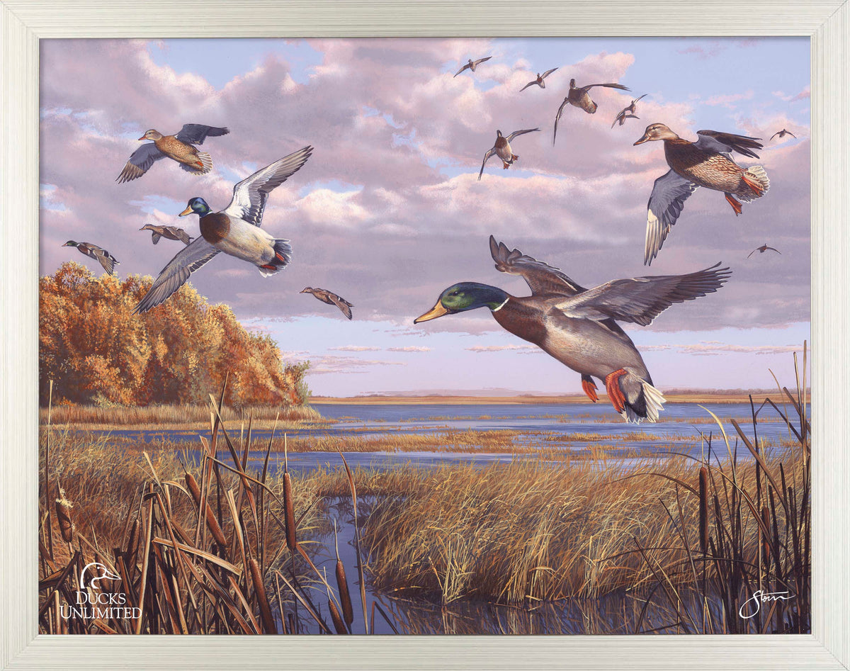 Autumn Rendezvous Art Prints - Official Ducks Unlimited Art