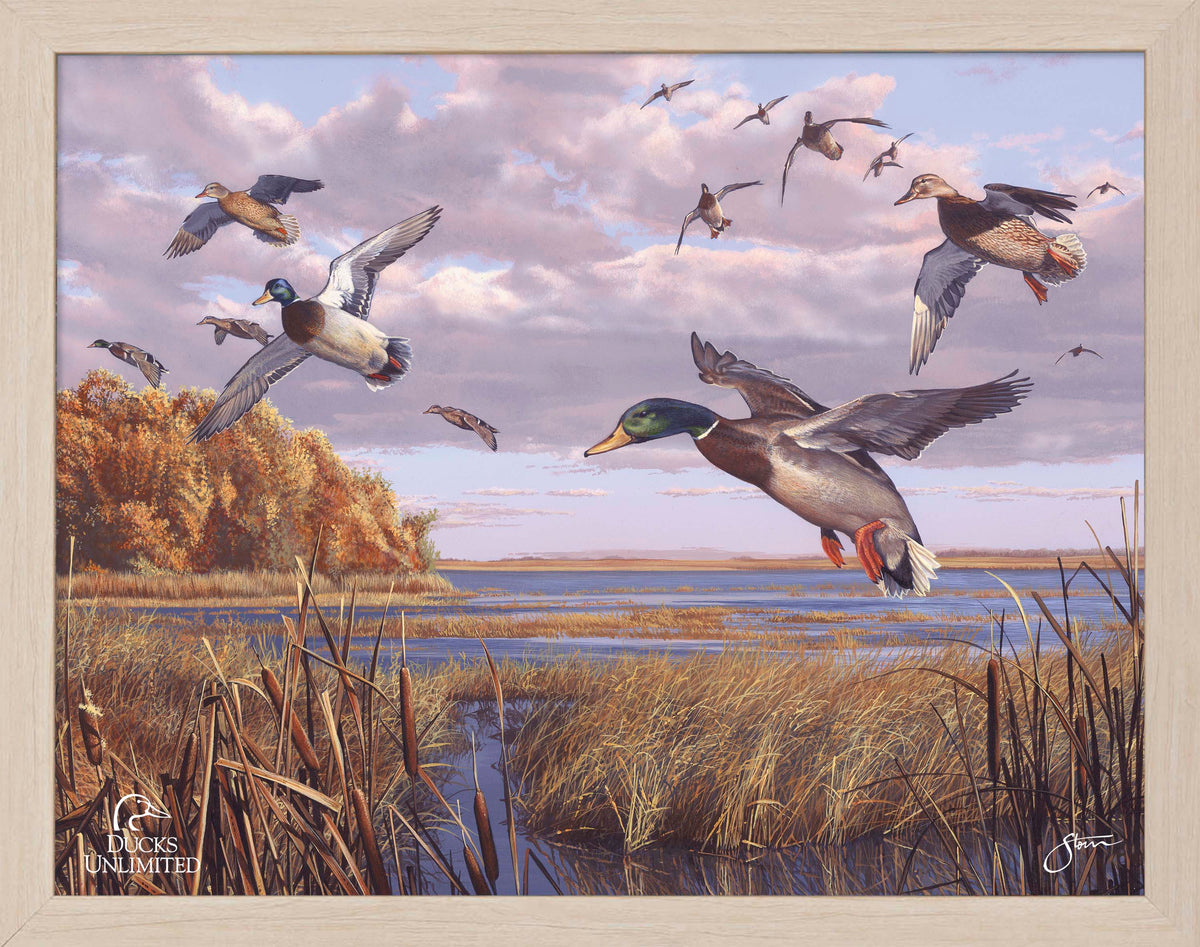 Autumn Rendezvous Art Prints - Official Ducks Unlimited Art