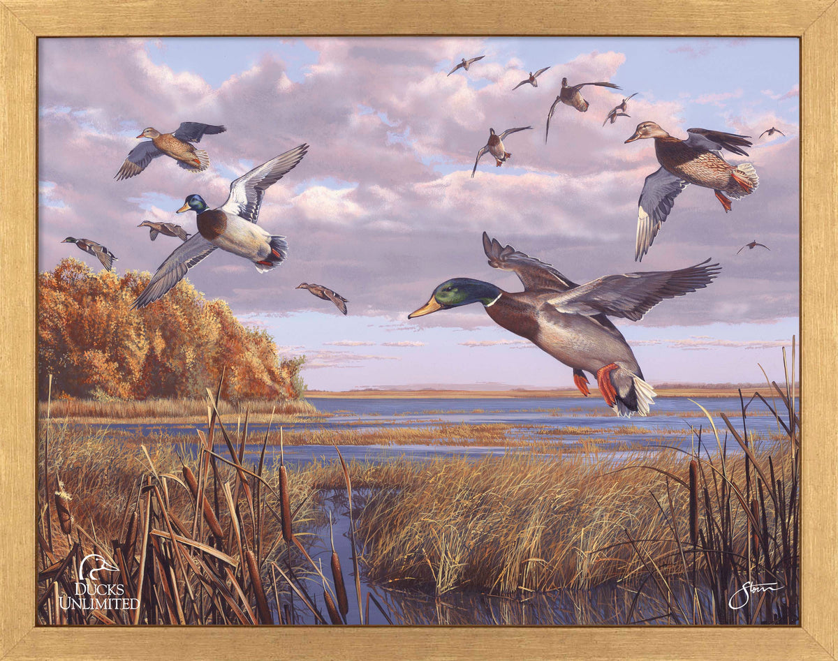 Autumn Rendezvous Art Prints - Official Ducks Unlimited Art