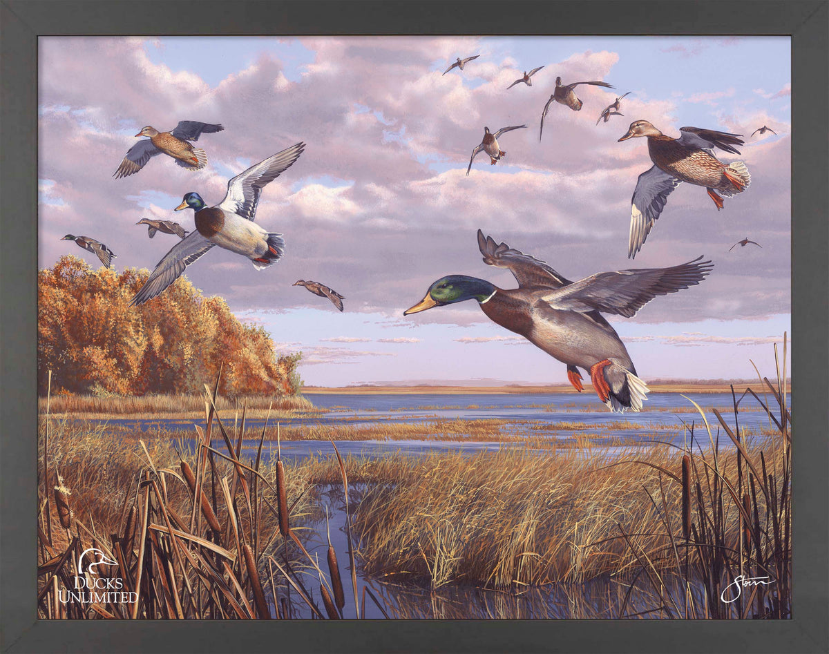 Autumn Rendezvous Art Prints - Official Ducks Unlimited Art
