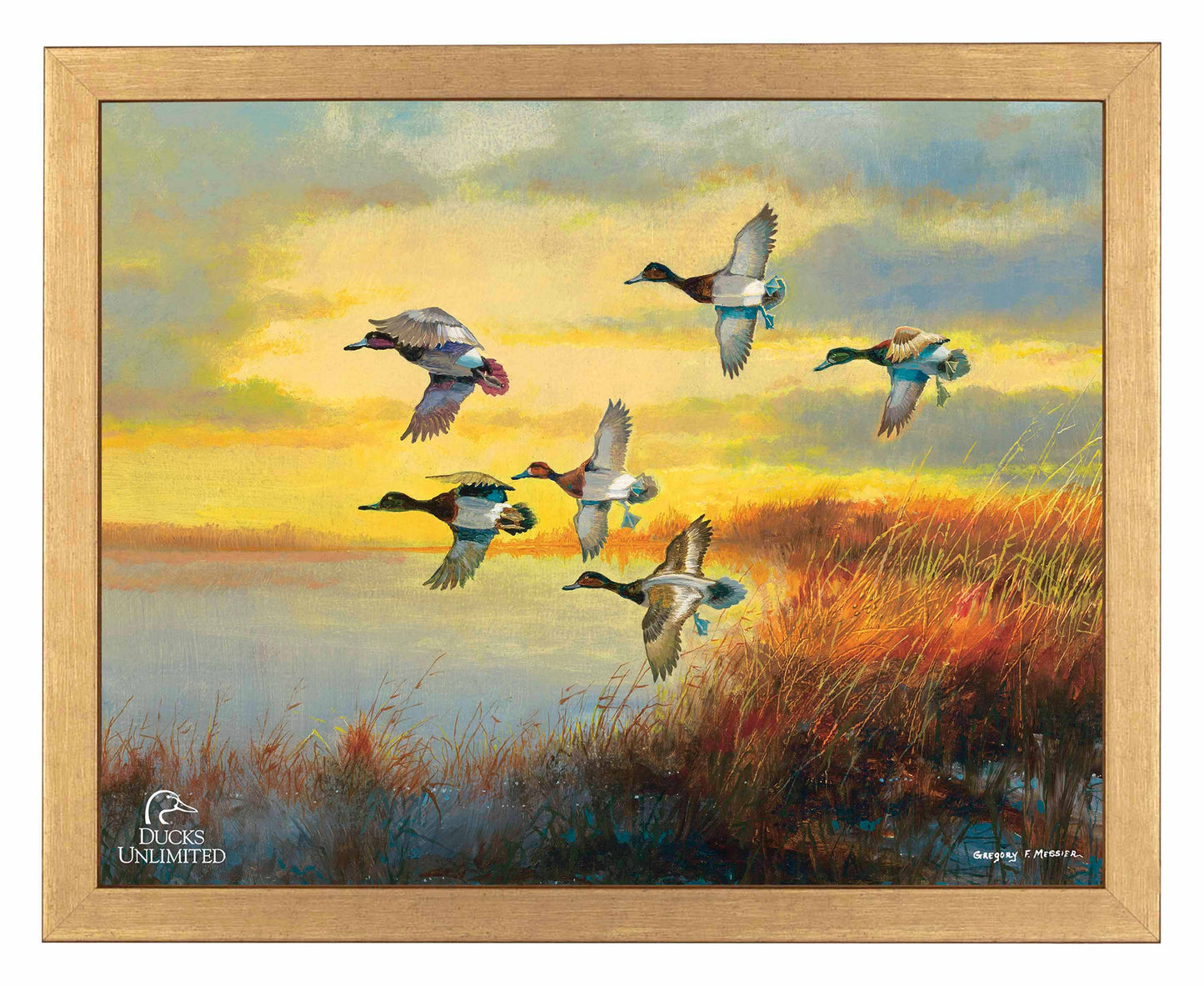 Autumn Sunrise Bluebills Art Prints - Official Ducks Unlimited Art