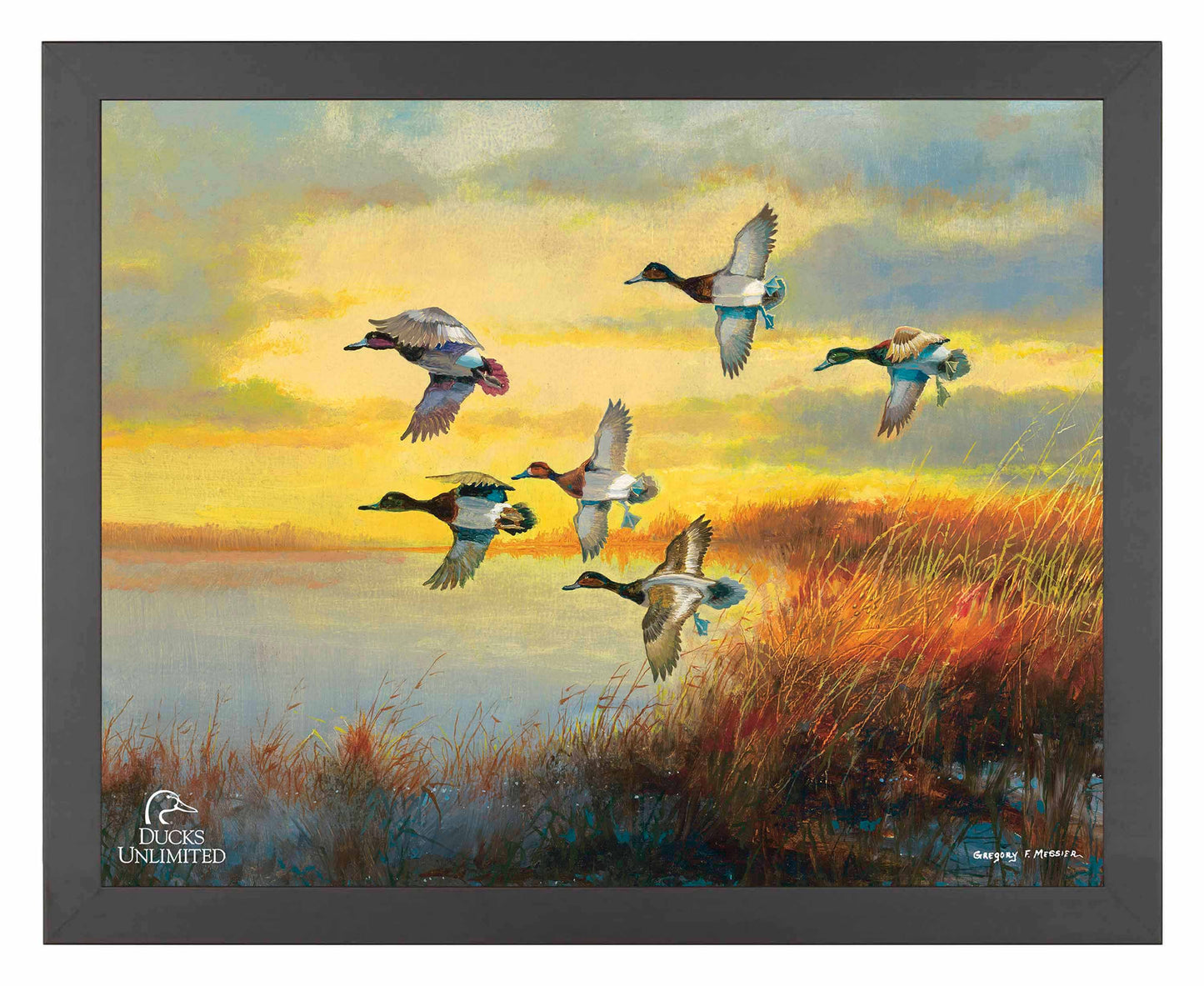 Autumn Sunrise Bluebills Art Prints - Official Ducks Unlimited Art