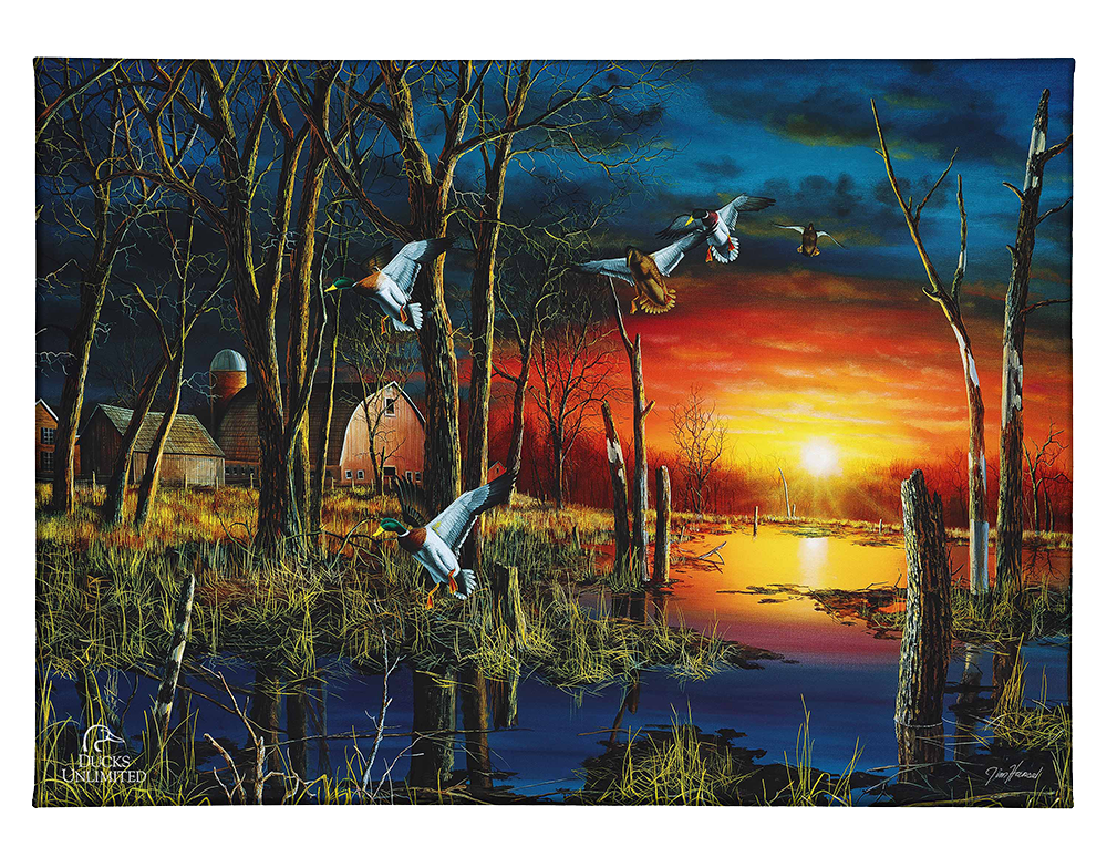 Autumn Visitors Gallery Wrapped Canvas - Official Ducks Unlimited Art