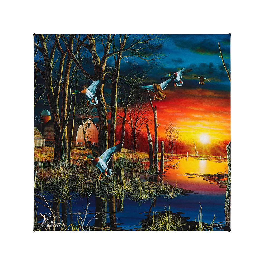 Autumn Visitors Gallery Wrapped Canvas - Official Ducks Unlimited Art