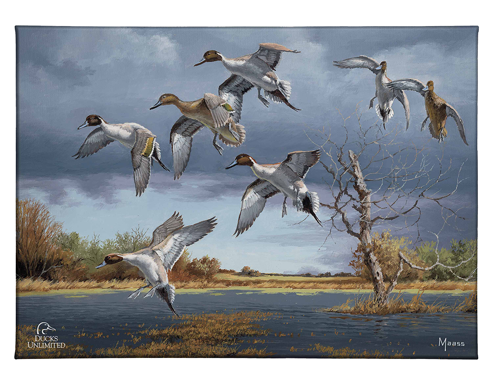 Autumn's Bounty Gallery Wrapped Canvas - Official Ducks Unlimited Art