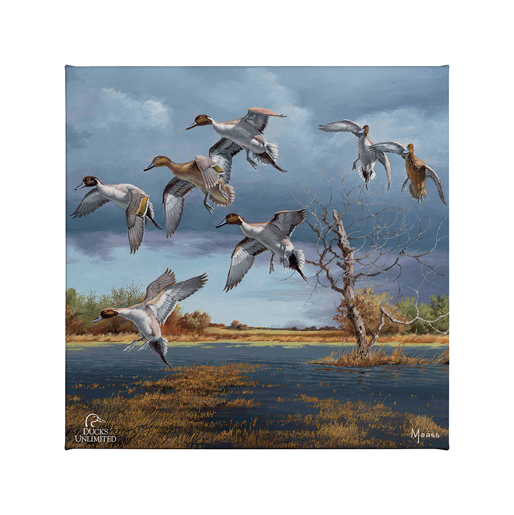 Autumn's Bounty Gallery Wrapped Canvas - Official Ducks Unlimited Art