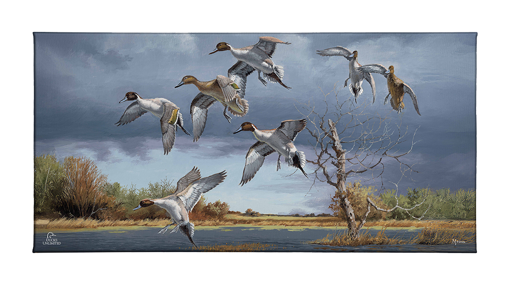 Autumn's Bounty Gallery Wrapped Canvas - Official Ducks Unlimited Art