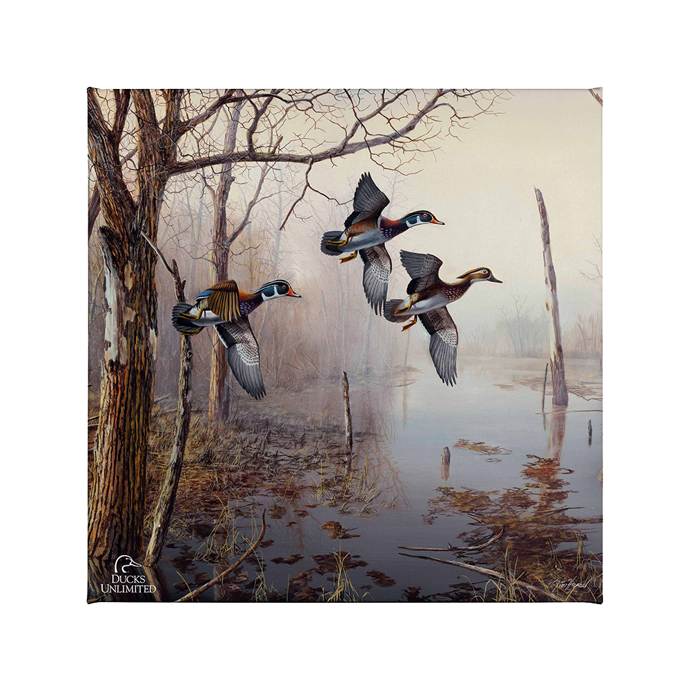 Backwater Gallery Wrapped Canvas - Official Ducks Unlimited Art