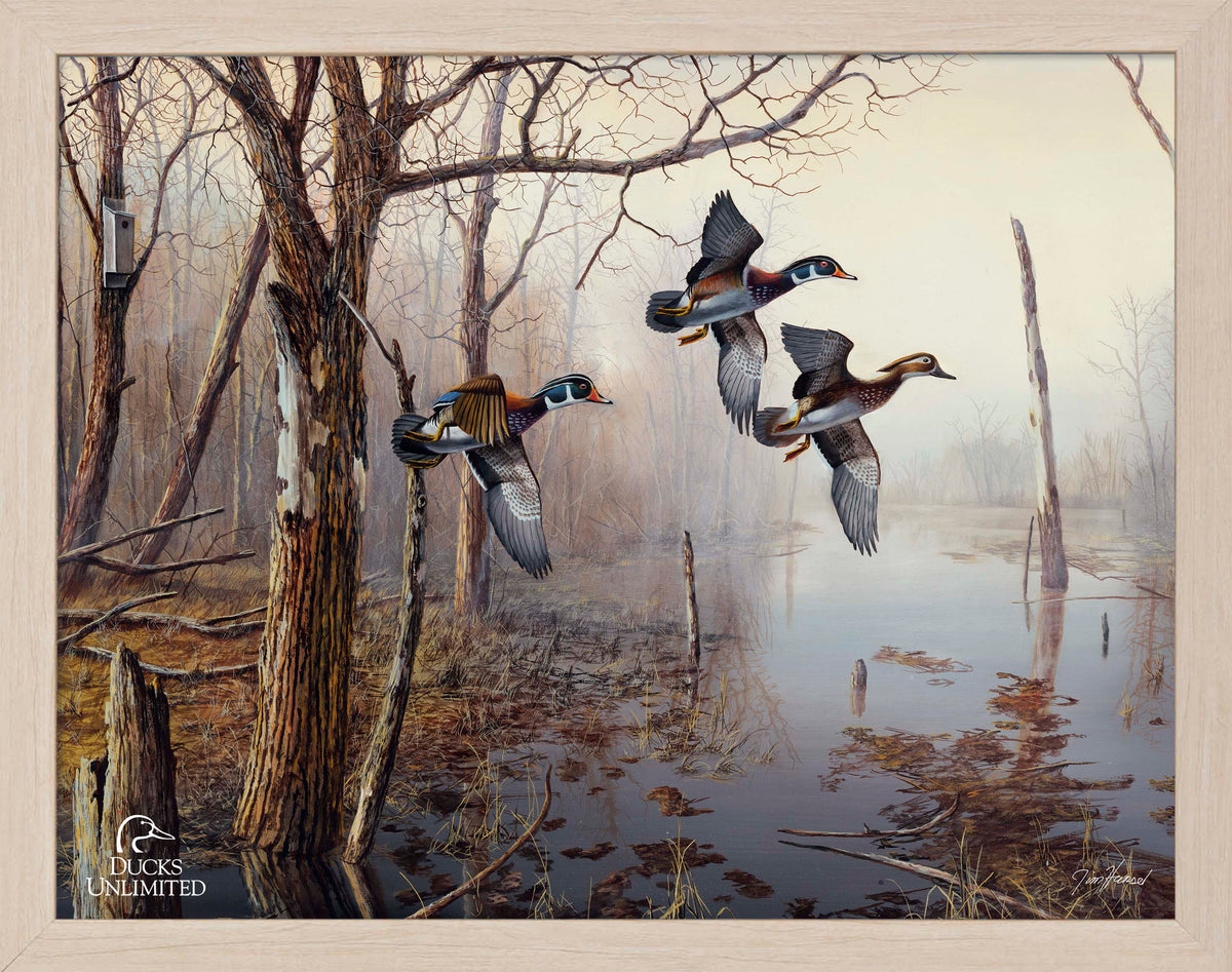 Backwater Art Prints - Official Ducks Unlimited Art
