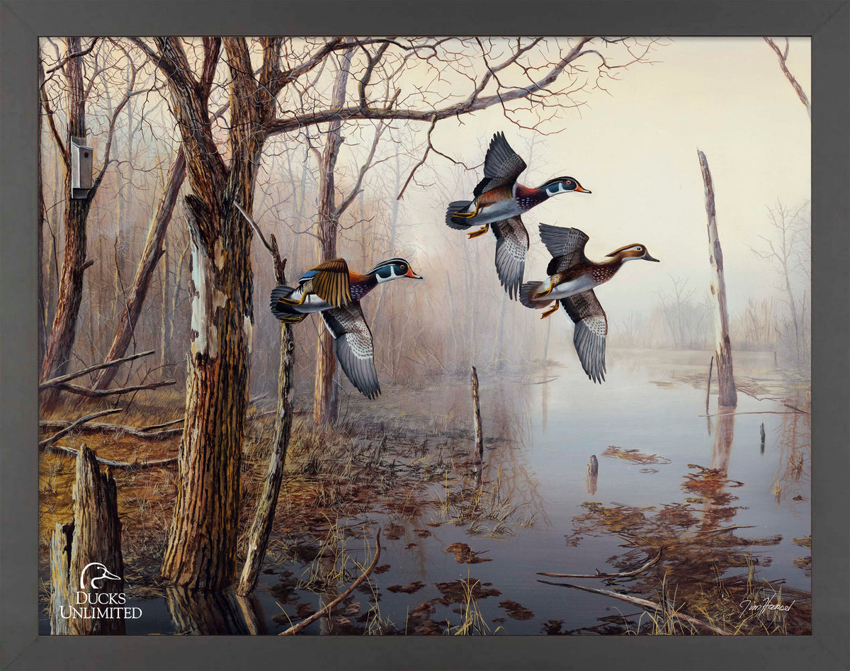 Backwater Art Prints - Official Ducks Unlimited Art