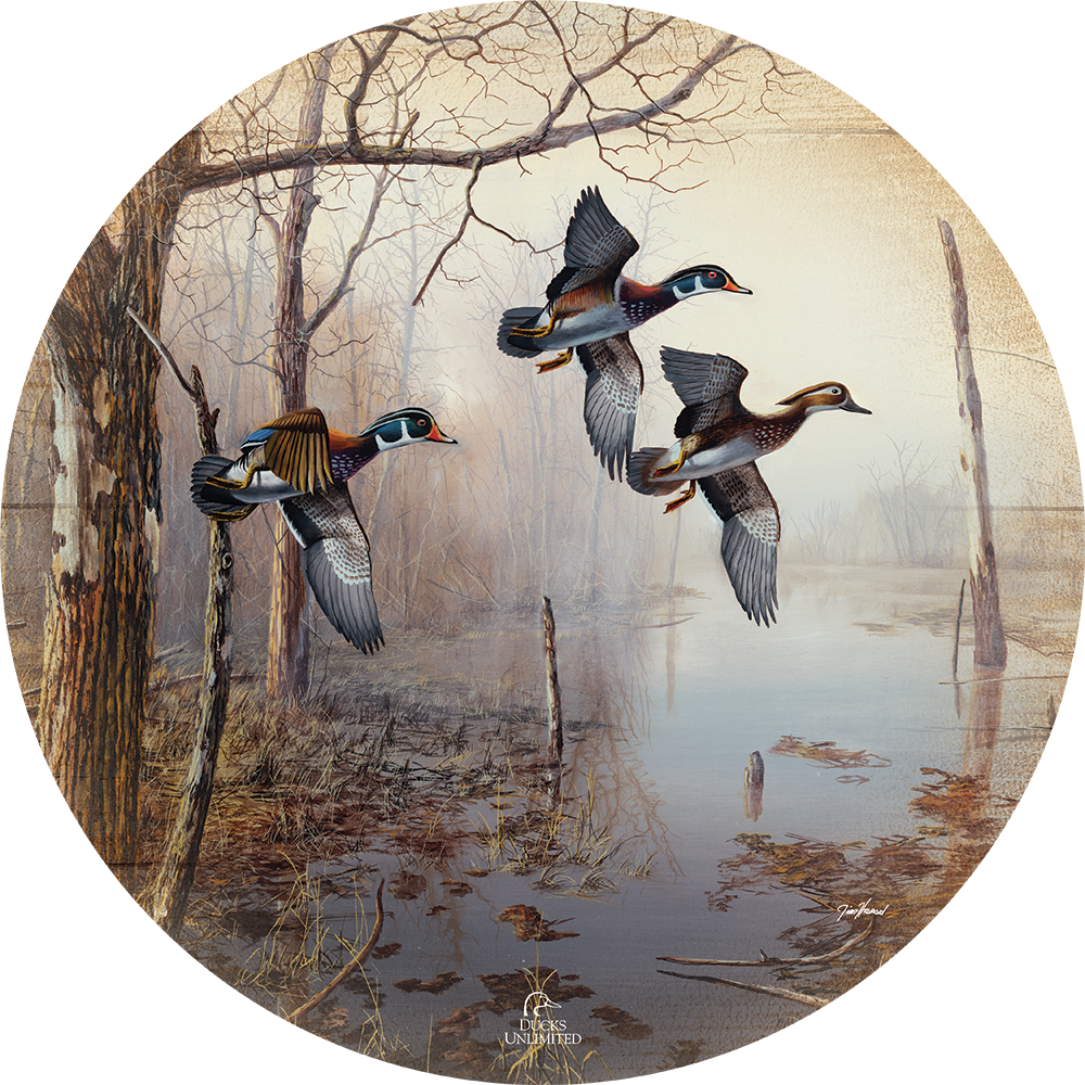 Backwater 21" Round Wood Sign - Official Ducks Unlimited Art