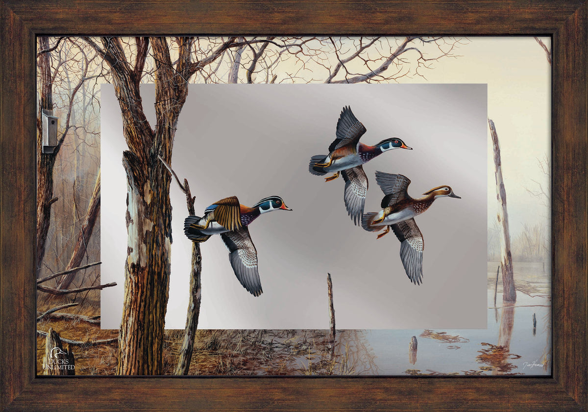 Backwater 16" x 24" Mirror Framed Barnwood - Official Ducks Unlimited Art