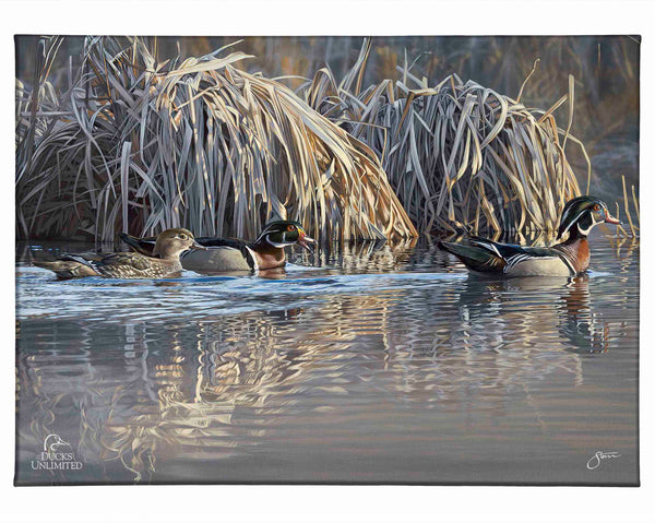 Backwater Gathering Gallery Wrapped Canvas - Official Ducks Unlimited Art