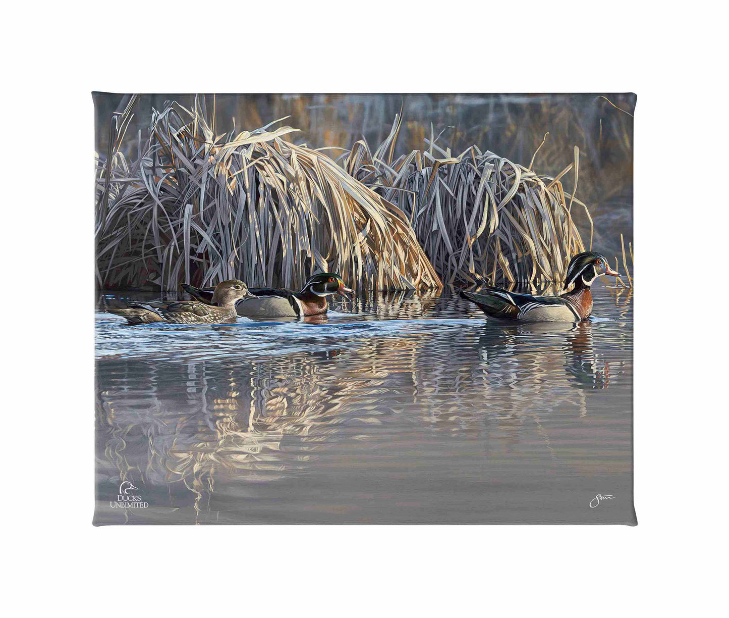 Backwater Gathering Gallery Wrapped Canvas - Official Ducks Unlimited Art