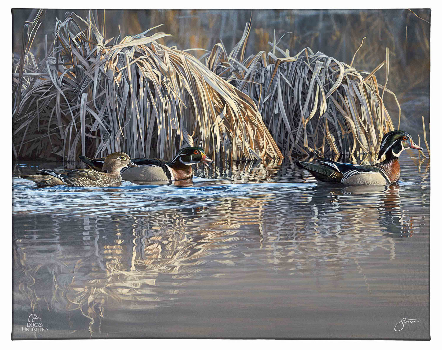 Backwater Gathering Gallery Wrapped Canvas - Official Ducks Unlimited Art