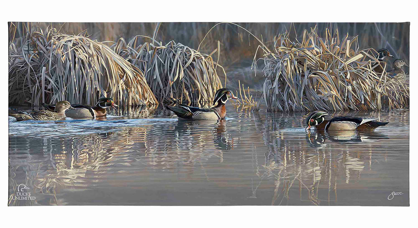 Backwater Gathering Gallery Wrapped Canvas - Official Ducks Unlimited Art