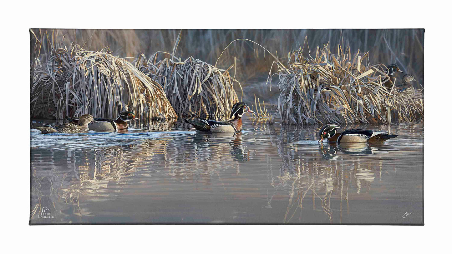 Backwater Gathering Gallery Wrapped Canvas - Official Ducks Unlimited Art