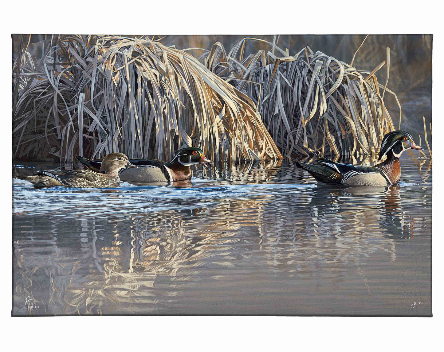 Backwater Gathering Gallery Wrapped Canvas - Official Ducks Unlimited Art