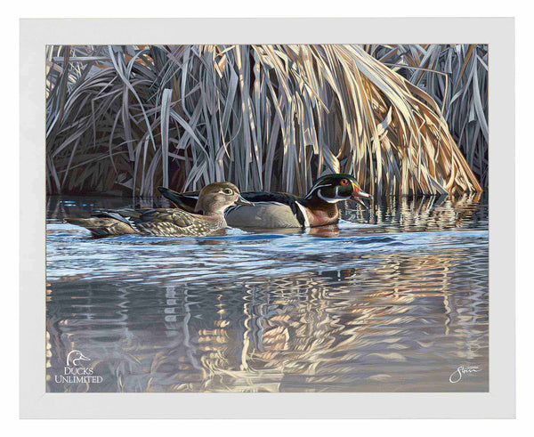 Backwater Gathering Art Prints - Official Ducks Unlimited Art