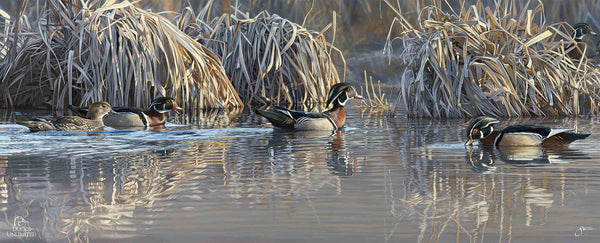 Backwater Gathering 12" x 30" Wood Sign  - Official Ducks Unlimited Art