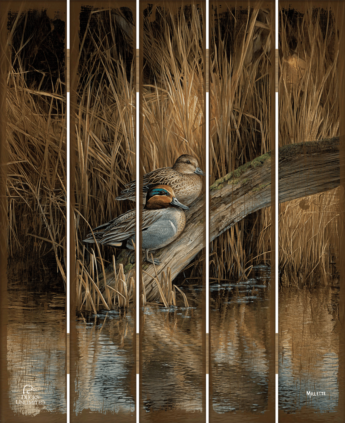 Backwaters - Green Winged Teal 18" x 22" Pallet Wall Art - Official Ducks Unlimited Art